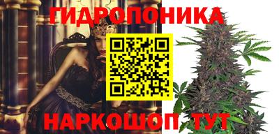 метадон Пенза