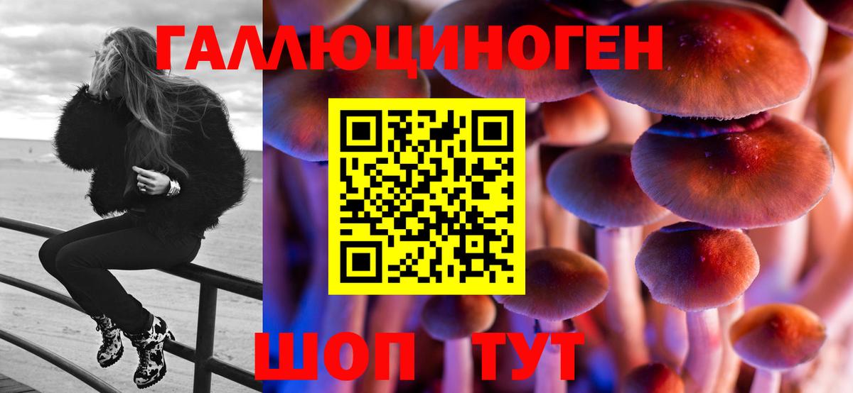 хочу   Галлюциногенные грибы MAGIC MUSHROOMS  Вход с VPN  Севастополь 