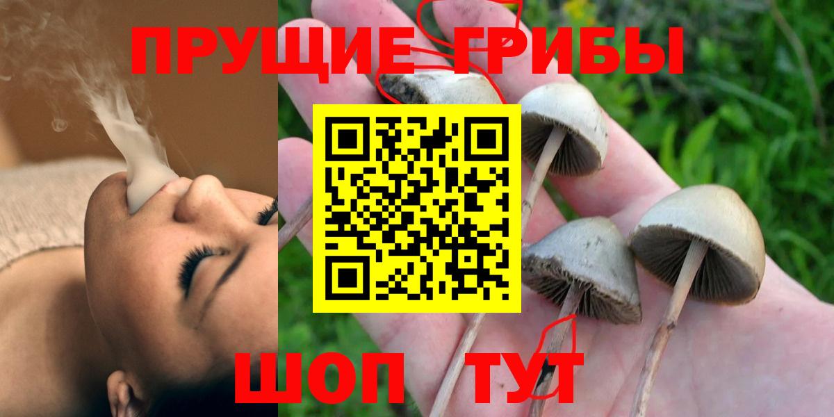 Галлюциногенные грибы MAGIC MUSHROOMS Севастополь